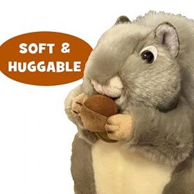 Aurora World Grey Squirrel Plush and Those Darn Squirrels Coffret cadeau