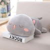 SaruEL Kawaii Chat Jouets Oreiller Peluche Animaux Mignon Jouet Chat poupée Enfants Mignon Fille Jouets Enfants Chambre décor