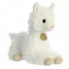 Aurora - Miyoni - 10" Cria Llama