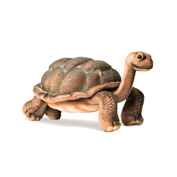 Peluche Tortue Galapagos 16cmH/30cmL