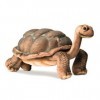 Peluche Tortue Galapagos 16cmH/30cmL