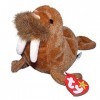 TY Beanie Baby - Peluche Animaux - Paul le Morse