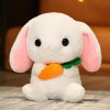 Kawaii Doudou Lapin en Peluche Animal Mignon Peluche Radis Lapin Tenant Carotte en Peluche Jouet Oreiller Doux Poupée Enfants