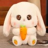 Kawaii Doudou Lapin en Peluche Animal Mignon Peluche Radis Lapin Tenant Carotte en Peluche Jouet Oreiller Doux Poupée Enfants