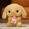 Kawaii Doudou Lapin en Peluche Animal Mignon Peluche Radis Lapin Tenant Carotte en Peluche Jouet Oreiller Doux Poupée Enfants