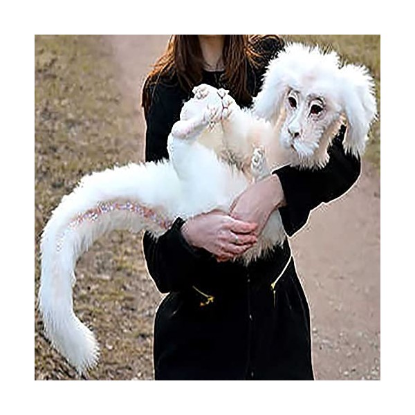 ACWERT Poupée Mignonne de Chance de Dragon de Dragon de Falkor de Dragon sans Poupée dhistoire. Peluche Blanche White, One 