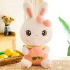 LEIhhdy 50cm-80cm Peluche Pêche Lapin Jouets Oreiller Kawaii Lapin Oreiller Poupée Mignonne en Peluche Jouet Enfants Annivers