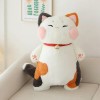 GagaLu Sanhua Chat poupée Chaton Peluche Jouet Grande Taille garçon Fille Oreiller poupée Fille lit décoration Cadeau d’Anniv