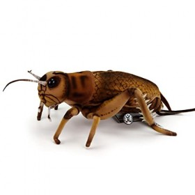 Grille Graciano Peluche effrayante à ailes longues Marron