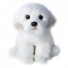 AnsonBoy Peluche Chien en Peluche Mignon Simulation Animal de Compagnie Moelleux bébé poupée Cadeau danniversaire Enfants Bi