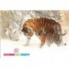 Grande Peluche Simba Roi Lion 53 cm avec Sons - pour Disney - Animaux Savane - Set Doudou XL Enfant + Carte Tigre