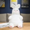 SaruEL Kawaii Animaux Peluche Jouets Lapin Moelleux Oreiller Peluche Lapin Dossier poupée décoration Chambre Anniversaire Cad