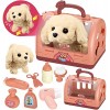 STAY GENT Robot Chien Jouet Enfant Veterinaire Enfant Jouets Kit Toilettage du Chien Interactif 12 PCS Malette Docteur Électr