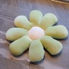 XDDBBB Belle Fleur Colorée Oreiller en Peluche Jouet Doux Plante en Peluche Poupée Chaise Coussin Canapé