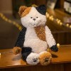 EacTEL Chat Peluche Jouet Chat Peluche Poupée Enfants Oreiller de Sommeil Petite amie Cadeau Jouet Anniversaire 70 cm 3