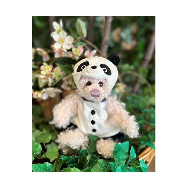 Charlie Bears - Pantaloon | Ours en peluche panda 2021 tenue amovible – Cadeau de collection – 25,4 cm