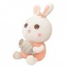 VICASKY Poupée Lapin Jouet De Poupée De Lapin Poupée De Lapin De Dessin Animé Enfant des Bonbons Peluche Oreiller