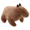 Totority 5 Pièces Jouet pour Animaux Jouets danimaux Jouets Animaux Jouet sous Vide Jouet en Peluche Jouets Capybara en Pelu