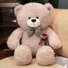 YAMABO 80cm-110cm Rose Teddy Bear Doll Enfants bébé Peluche Jouet Gros Ours poupée Fille Mignon Teddy Bear Oreiller - Gris Cl