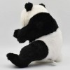 Anima Peluche - Bébé Panda 28 cm