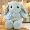 Belle Longues Oreilles Lapin en Peluche Jouet Doux Dessin Animé Animal en Peluche Poupée Canapé Oreiller Enfants Cadeaux D’An