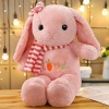 Belle Longues Oreilles Lapin en Peluche Jouet Doux Dessin Animé Animal en Peluche Poupée Canapé Oreiller Enfants Cadeaux D’An