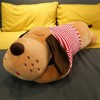 NOpinz Kawaii géant rayé Chien Peluche Peluche Dessin animé Animal Chien poupée lit Sieste Oreiller décor à la Maison Enfants