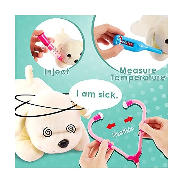 BUYGER Jouet Mallette Docteur Veterinaire avec Peluche Chien pour Enfant  Fille Garçon, Jeu d'imitation : : Jeux et Jouets