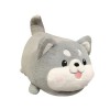 NOpinz Nouveau Mignon Chien en Peluche Jouet Husky Teddy Chien Coussin Poupée en Peluche Animal Jouet Enfants Cadeau D’Annive