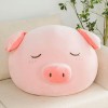 SaruEL Kawaii Cochon Oreiller Peluche Jouet Oreiller Animaux De Compagnie Peluche Grenouille Poupée Jouet Canapé-Lit Mignon E