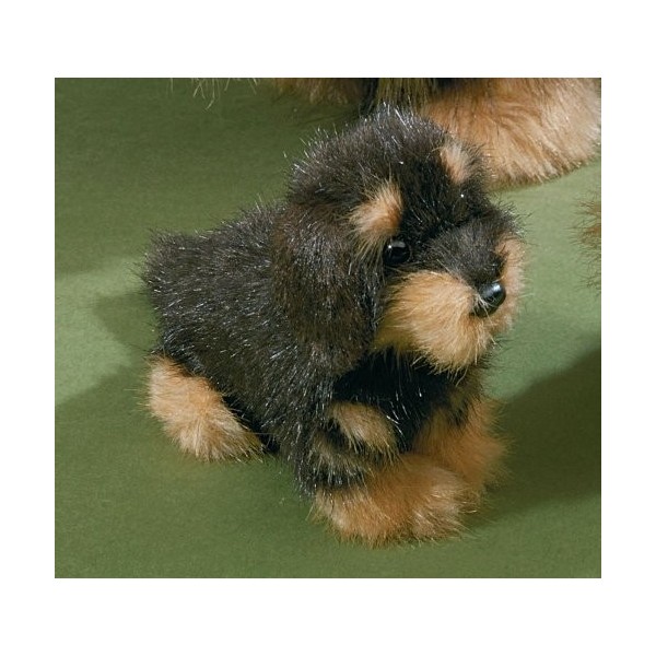 Förster Stofftiere Sylviculteurs Peluches 5506 rauhaardackel Mini de 15 cm de Long