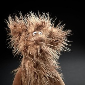 Sigikid 39704 ACH Good! Editon 23 BeastsTown Peluche : Collectionner, Offrir, Jouer, câliner, pour Enfants et Adultes de 3 à 