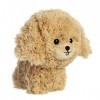 Aurora - Teddy Pets - Goldendoodle - 17,8 cm