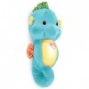 Fisher Price Ocean Wonders Hippocampe