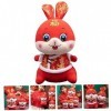 ibasenice 3 Pièces Costume Tang Poupée De Lapin Oreiller De Lapin en Peluche Lapin Jouet Moelleux Lapin Figurines du Zodiaque