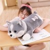 SaruEL Mignon Corgi Peluche Jouets en Peluche Animaux Bande Dessinée Oreiller Meilleur Cadeau D’Anniversaire Cadeau De Noël p