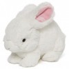 GUND - Easter Whispers Bunny Rabbit Plush Stuffed Animal, White 12-inches