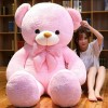 PaMut Coussin de Dessin animé Mignon Ours coloré Jouet en Peluche Ours en Peluche poupée Peluche Animal Oreiller Jouet Cadeau