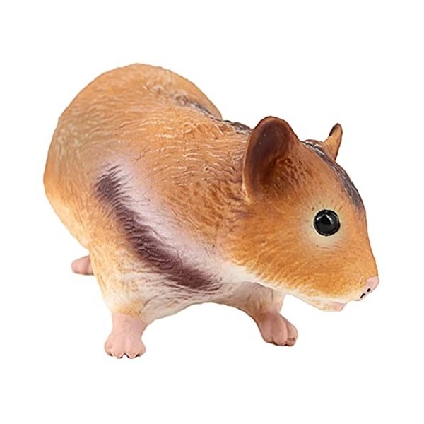 Toyvian 5 Pièces Cobaye Artificiel Les Animaux Vivants Jouets pour Cochons dInde Ornement Photo Peluches Réalistes Dessus De