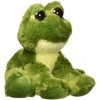 Aurora Plush 10 inches Dreamy Eyes Frog inches Fantabulous inches