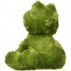 Aurora Plush 10 inches Dreamy Eyes Frog inches Fantabulous inches