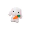 SAFIGLE 2 Pièces Jouets De La Nativité pour Enfants Para Niños Enfants Voyage Jouets en Peluche Lapin De Pâques Mignon Lapin 