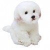 Ermano Peluche 35 cm Mignon Animal mimique Malte Chien Enfant Fourrure Jouet Cadeau danniversaire Noël