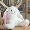 EacTEL Mignon Lapin en Peluche Jouet câlin Oreiller Peluche Animal Jouet Doux Enfants poupée Fille Cadeau d’Anniversaire Cade