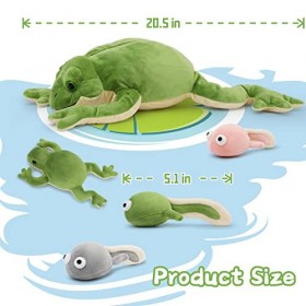 MorisMos Peluche Grenouille Vert avec 4 Bébé Têtards à lintérieur, Kawaii Animaux Jouet en Peluche Grenouille Douce Réaliste