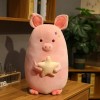 LfrAnk Cochon Mignon Jouet en Peluche Peluche Mignon Animal Poupée Cochon Enfant Oreiller Fille Cadeau D’Anniversaire Cadeau 