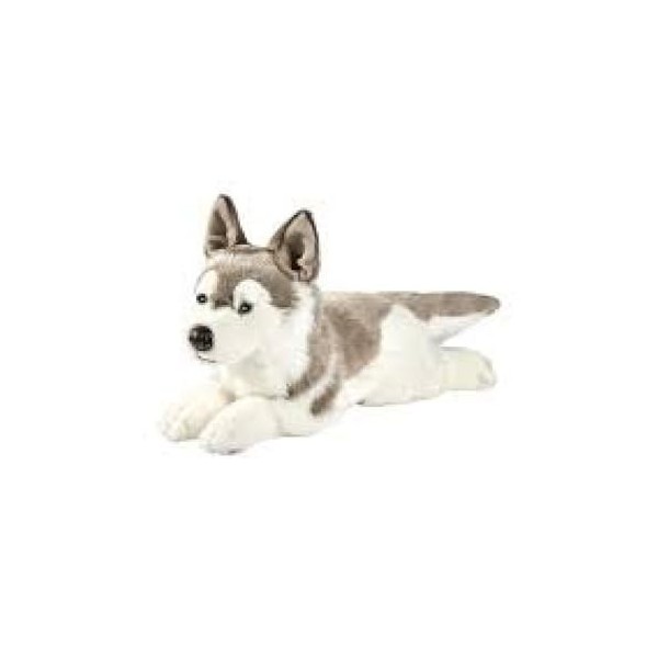 Anima Peluche Husky 42cmL