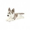 Anima Peluche Husky 42cmL