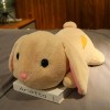 Kawaii Longues Oreilles Lapin en Peluche Poupée Coussin Enfants Filles Cadeaux D’Anniversaire Home Decor Anniversaire Cadeaux