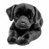 Uni-Toys - Labrador noir, couché - 60 cm longueur - Peluche chien - Animal en peluche